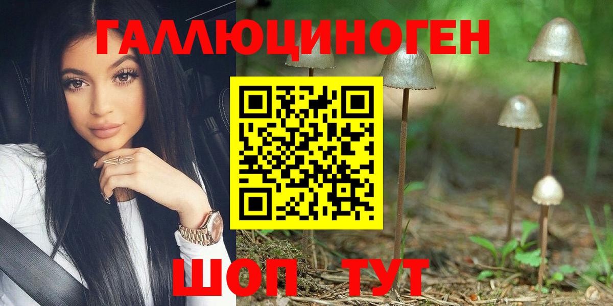 Псилоцибиновые грибы Psilocybine cubensis  Вход с VPN  Галлюциногенные грибы Cubensis  Ахтубинск 